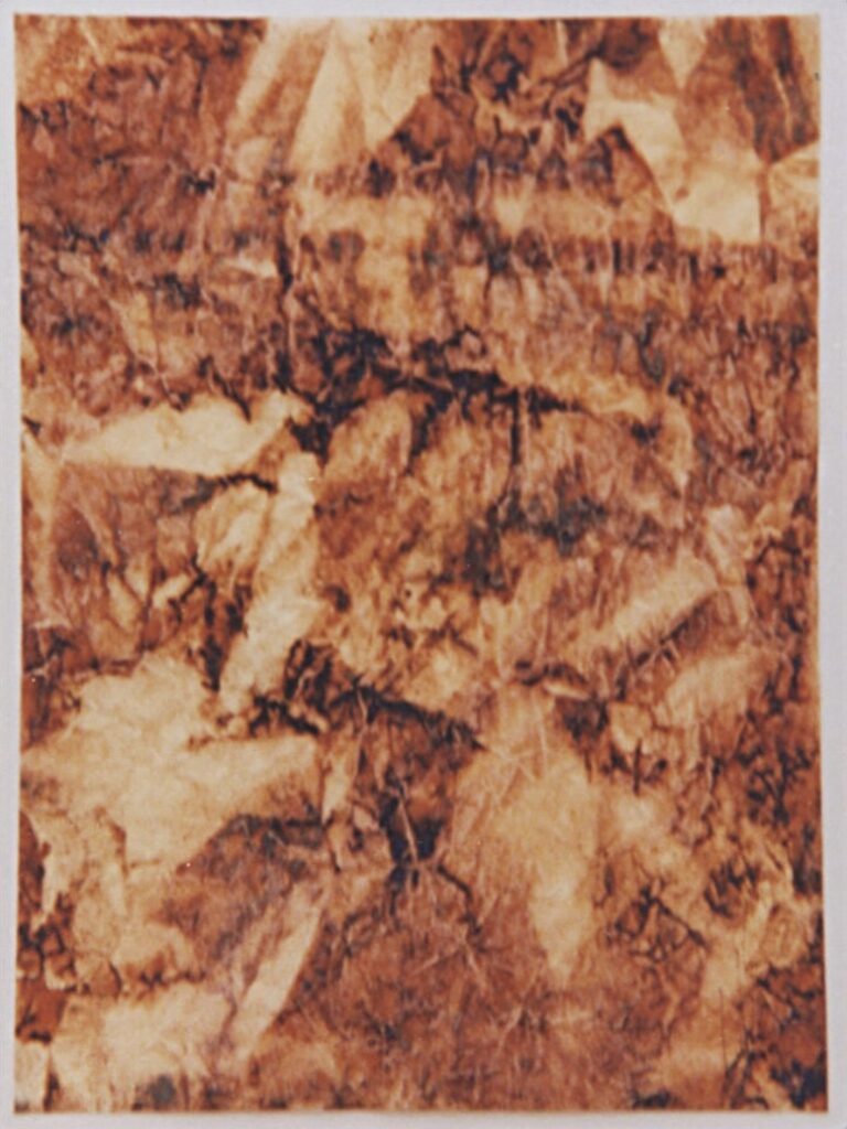 Huella vegetal, Demetrio Navaridas