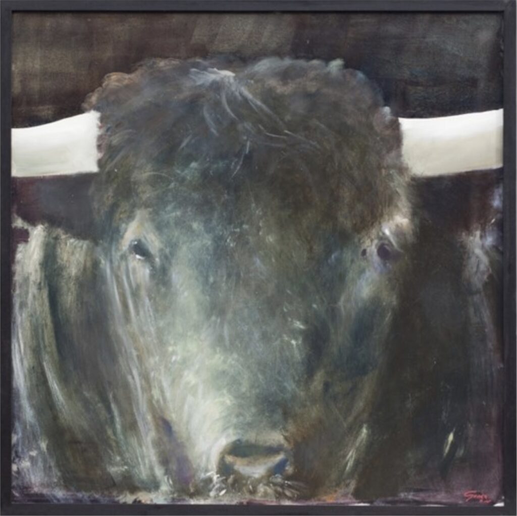 Toros, Muzquiz