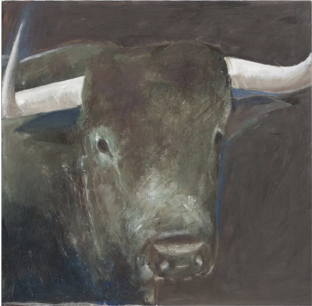 Toros, Muzquiz