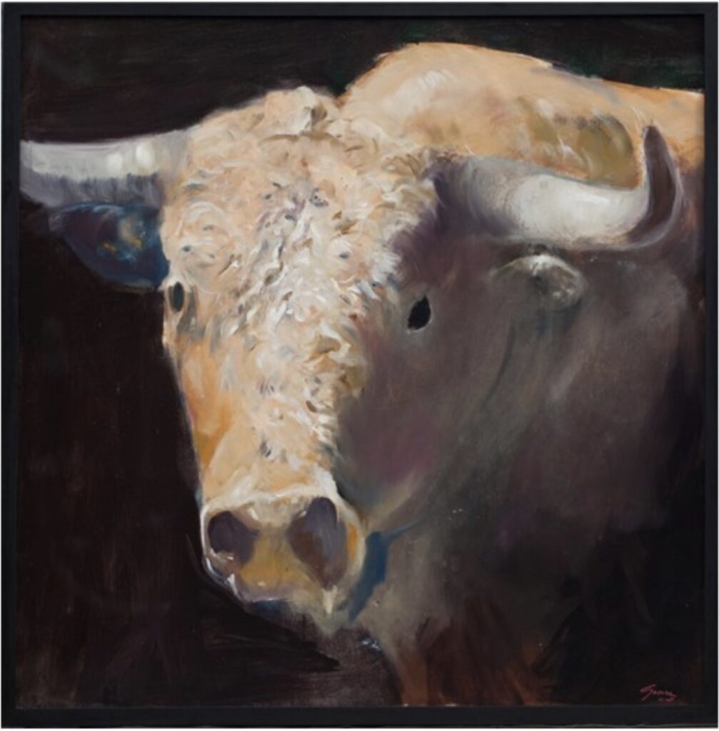 Toros, Muzquiz