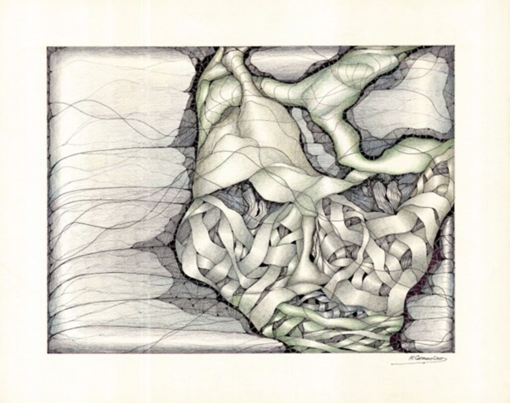 Trama en rostro, Rafael Carramolino